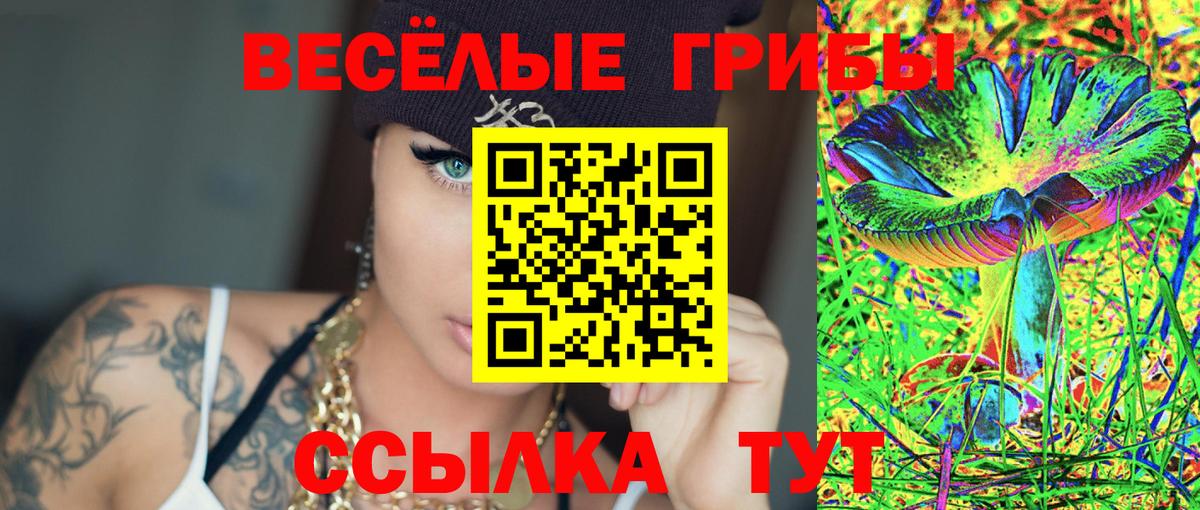 магазин    Галлюциногенные грибы прущие грибы  Вход с VPN  Отрадный 